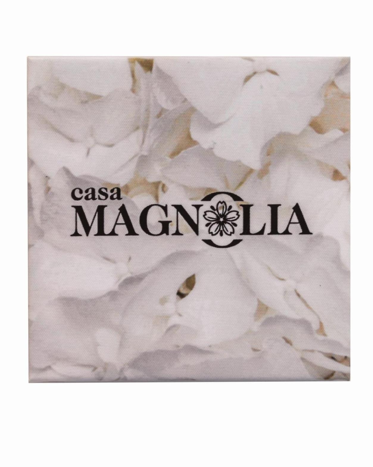 Casa Magnolia Διαμέρισμα Φότζια Εξωτερικό φωτογραφία